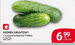 Selgros Ogórek gruntowy oferta