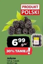 Netto Jeżyny polska oferta