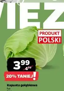 Netto Kapusta na gołąbki oferta