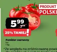 Netto Pomidory oferta