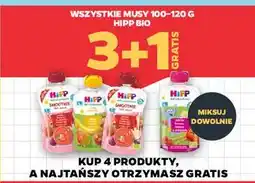 Netto Mus owocowy jabłka-banany-maliny ze zbożami Hipp Hippis oferta