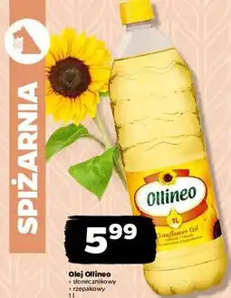 Netto Olej rzepakowy Ollineo oferta
