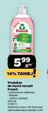 Netto Balsam do mycia naczyń zielona herbata Frosch oferta