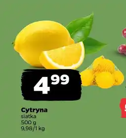 Netto Cytryna oferta