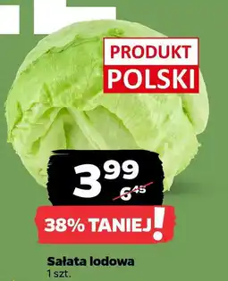 Netto Sałata lodowa oferta