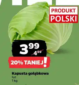 Netto Kapusta gołąbkowa oferta