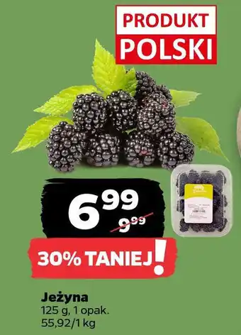 Netto Jeżyna oferta