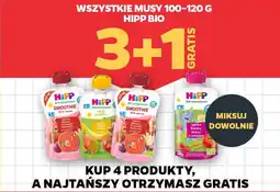 Netto Wszystkie musy hipp bio oferta