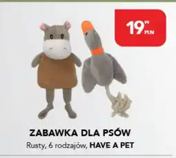 AquaelZOO Zabawka dla psów oferta