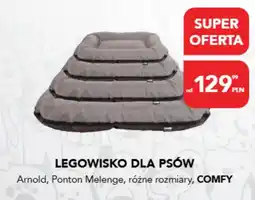 AquaelZOO Legowisko dla psów oferta