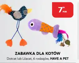 AquaelZOO Zabawka dla kotów oferta