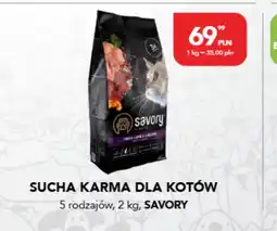 AquaelZOO Sucha karma dla kotów Savory oferta