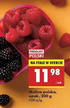 Biedronka Maliny polska oferta