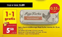 Biedronka Jaja kl .m Moja Kurka oferta