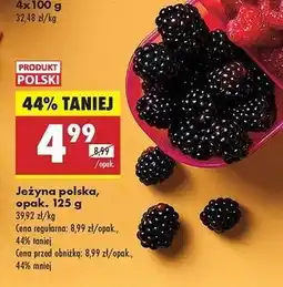 Biedronka Jeżyna oferta