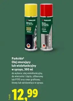 Lidl Odrdzewiacz Parkside oferta