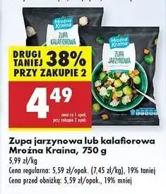 Biedronka Zupa kalafiorowa Mroźna Kraina oferta