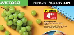 Biedronka Winogrona białe bezpestkowe oferta