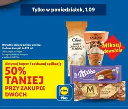 Lidl Lód utopia Algida Magnum Double oferta
