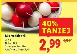 Lidl Rzodkiewki mix oferta