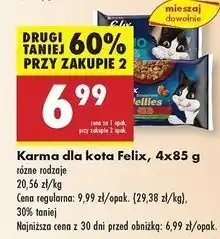 Biedronka Karma dla kota wiejskie smaki w galaretce Purina Felix Sensations Jellies oferta