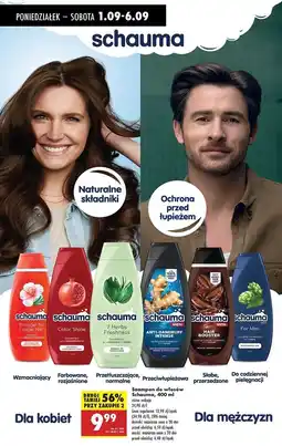 Biedronka Szampon classic Schauma For Men oferta