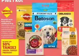 Lidl Karma dla psa mini/small oferta
