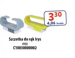 AT Szczotka do rąk Irys oferta