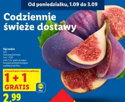 Lidl Figi świeże Lidl oferta