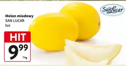 Intermarche Melon miodowy San Lucar luz oferta