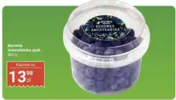 Biedronka Borówka amerykańska Biedronka oferta