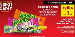Biedronka Lody Kaktus i Ekipa na patyku Koral oferta