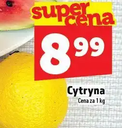 Topaz Cytryna TOPAZ oferta