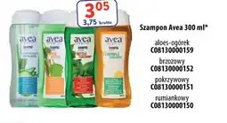AT Szampon Avea oferta
