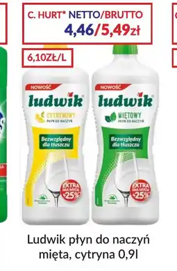 Sużyw Ludwik płyn do naczyń oferta