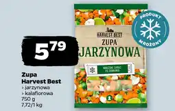Netto Zupa Harvest Best oferta