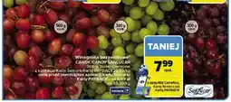 Carrefour Winogorna białe candy Sanlucar oferta