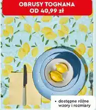 Biedronka Obrus Tognana oferta