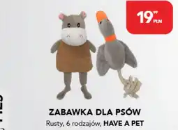 AquaelZOO Zabawka dla psa Have a Pet oferta