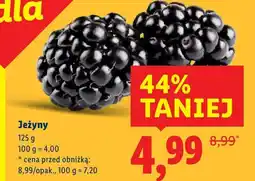 Lidl Jeżyny Lidl oferta