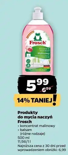 Netto Produkty do mycia naczyń Frosch oferta