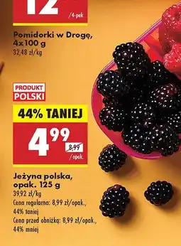 Biedronka Jeżyna polska Biedronka oferta