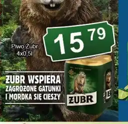 Eden Piwo Zubr oferta