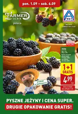 ALDI Jeżyny oferta