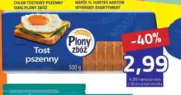 Hildebrandt Chleb tostowy pszenny Plony Zbóż oferta