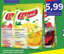 Hildebrandt EKLAND Napój Herbaciany oferta