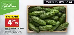 Biedronka Ogórek gruntowy oferta