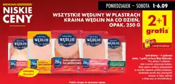 Biedronka Wędliny w plastrach kraina wędlin na co dzień oferta