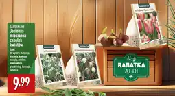 ALDI GARDENLINE Jesienna mieszanka cebulek kwiatów oferta