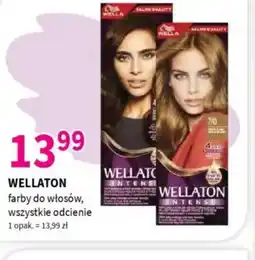Drogerie Polskie Wellaton farby do włosów oferta